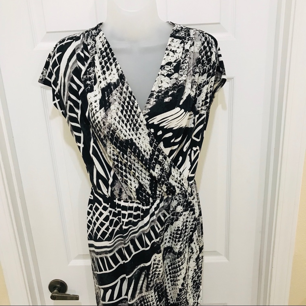 Chico’s Snake Print Dress